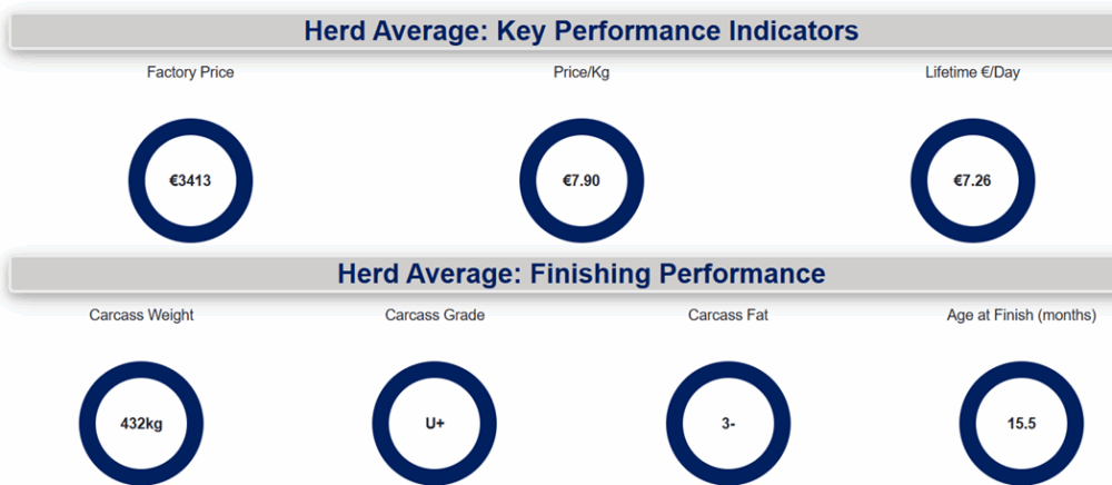 2025 herd KPIs Eamonn and Donnchadh McCarthys farm