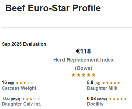 Beef Euro-Star profile from the September 2025 evaluation - the Herd Replacement Index is €118