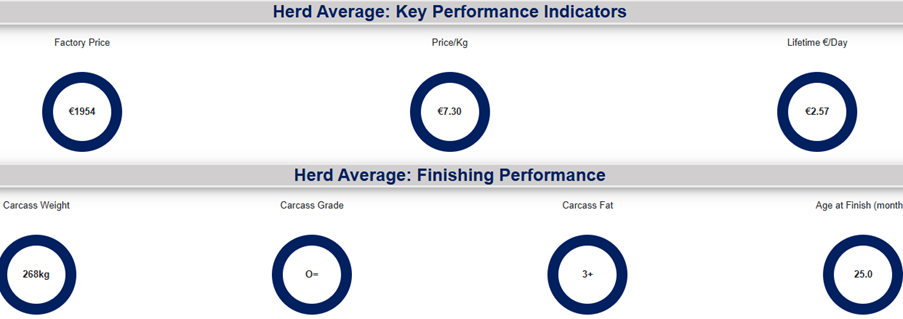 Beef finishing report for animals born in 2023 and finished in 2025