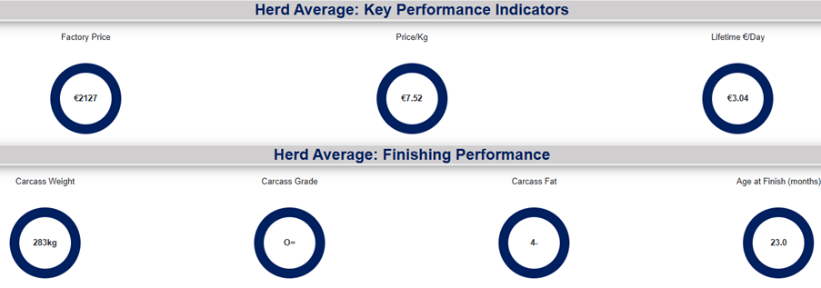 Beef finishing report for animals born in 2024 and finished in late 2025 and early Jan 2026