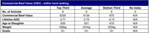 A second 'Commercial Beef Value (CBV) - within herd ranking' table showing columns Top Third, Average, Bottom Third and No Index (zero). Key rows:No. of animals: 8 / 6 / 6 / 0;
Commercial Beef Value: €205 / €134 / €75 / N/A;
Lifetime ADG: 0.77 / 0.75 / 0.73 / N/A;
Age at slaughter: 639 / 631 / 619 / N/A;
Weight: 256 kg / 241 kg / 225 kg / N/A;
Grade: O+ / O= / O= / N/A.
This compares performance metrics and CBV by herd ranking.
