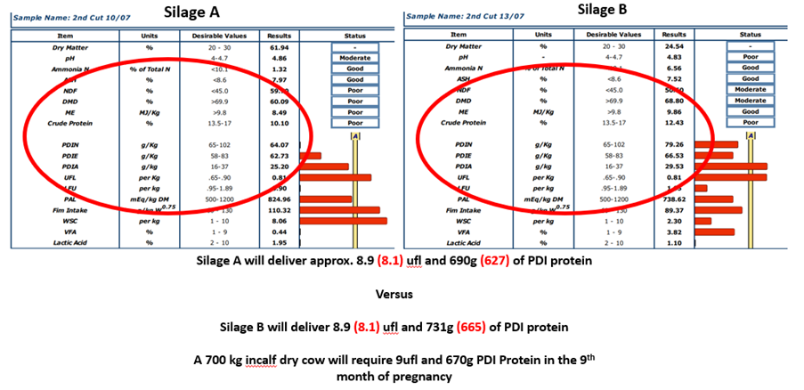 Dry cow silages being fed on James farm. Silage A will deliver approx 8.9(8.1) ufi and 690g (627) of PDI protein verus Silage B will deliver 8.9 (8.1) ufi and 731g (665) of PDI protein. A 700kg in-calf dry cow will require 9 ufi and 670g PDI protein in the 9th month of pregnancy 
