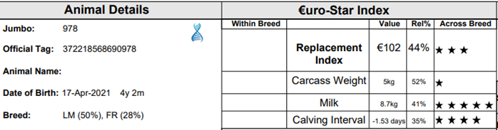 Eurostar profile for 978 detailing her carcass, milk and calving interval. She had the heaviest bull calf on the weaning performance report