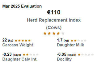 The ICBF Eurostar report figures for Ed Curtin's cows - March 2025 evaluation