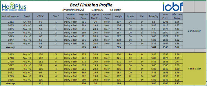 ICBF beef finishing profile for Ed Curtin, comparing high and low CBV steers finished in 2024. The table shows that the 4 and 5 star animals were on average €200
