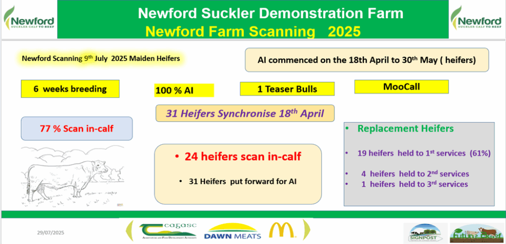 Newford Farm Scanning 2025 - details in text below