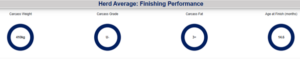 Herd Average: Finishing Performance dashboard showing four round gauge graphics in a row. From left to right the gauges read: Carcass Weight — 410 kg; Carcass Grade — U-; Carcass Fat — 3-; Age at Finish (months) — 14.6. Each value is displayed inside a blue circular ring under its label.