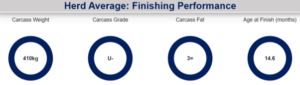 Dashboard titled 'Herd Average: Finishing Performance' with four dark-blue ring icons and labels: Carcass Weight — 410 kg; Carcass Grade — U-; Carcass Fat — 3=; Age at Finish (months) — 14.6.