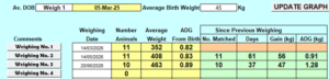 Screenshot of a spreadsheet-style weighing summary for a demonstration farm. Top bar shows "Weigh 1" dated 05-Mar-25 and an average birth weight of 45 kg. The table columns read: Comments, Weighing Date, Number Animals, Average Weight, ADG From Birth, and "Since Previous Weighing" subcolumns (No. Matched, Days, Gain (kg), ADG (kg)). Three weighings are recorded:Weighing No. 1 on 14/03/2026: 11 animals, average weight 352 kg, ADG from birth 0.82. Weighing No. 2 on 14/05/2026: 11 animals, average weight 408 kg, ADG from birth 0.83; since previous weighing 11 matched, 61 days, gain 56 kg, ADG 0.91. Weighing No. 3 on 20/06/2026: 10 animals, average weight 463 kg, ADG from birth 0.89; since previous weighing 10 matched, 37 days, gain 47 kg, ADG 1.28. A fourth weighing row is blank. Several header and data cells are highlighted in yellow and green