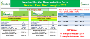 Newford Suckler Demonstration Farm beef weights for 30 July 2026: 40 yearling males averaged 542 kg and 36 yearling heifers averaged 518 kg. The graphic compares these results with 2025 and 2024 weights and shows estimated breeding values of €368 for males and €348 for females.