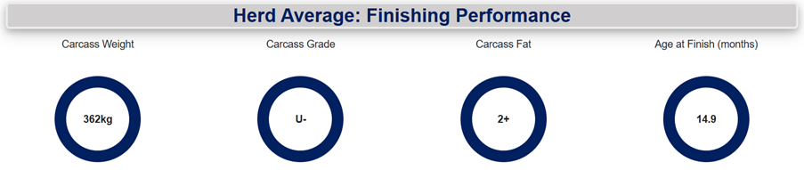 herd average finishing performance Ger McSweeney May June 2025 - details in text