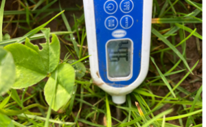 soil temperature thermometer at 9.6 degrees Celsius in March 2026