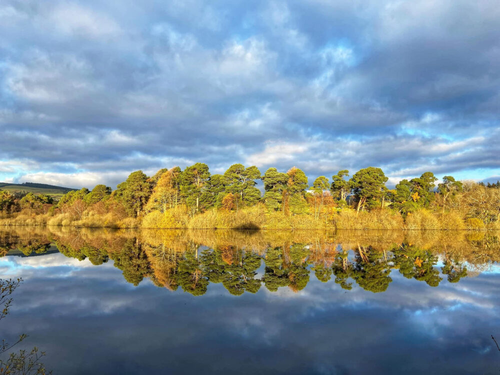 Carmel Byrne's entry in the Trees and Water category of the Forest Photo Competition