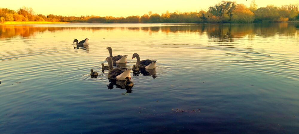 Kendrick Urquhart's winning entry in the Trees and Water Junior Category of the Forest Photo Competition