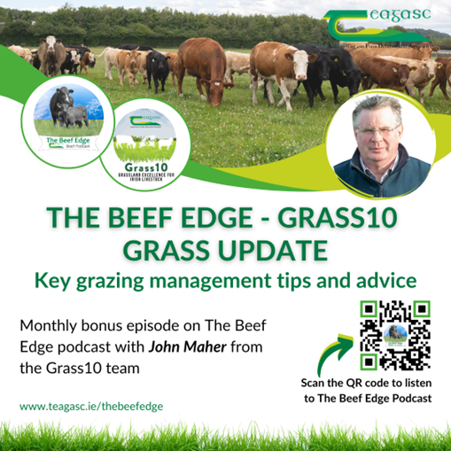 The Beef Edge Podcast poster