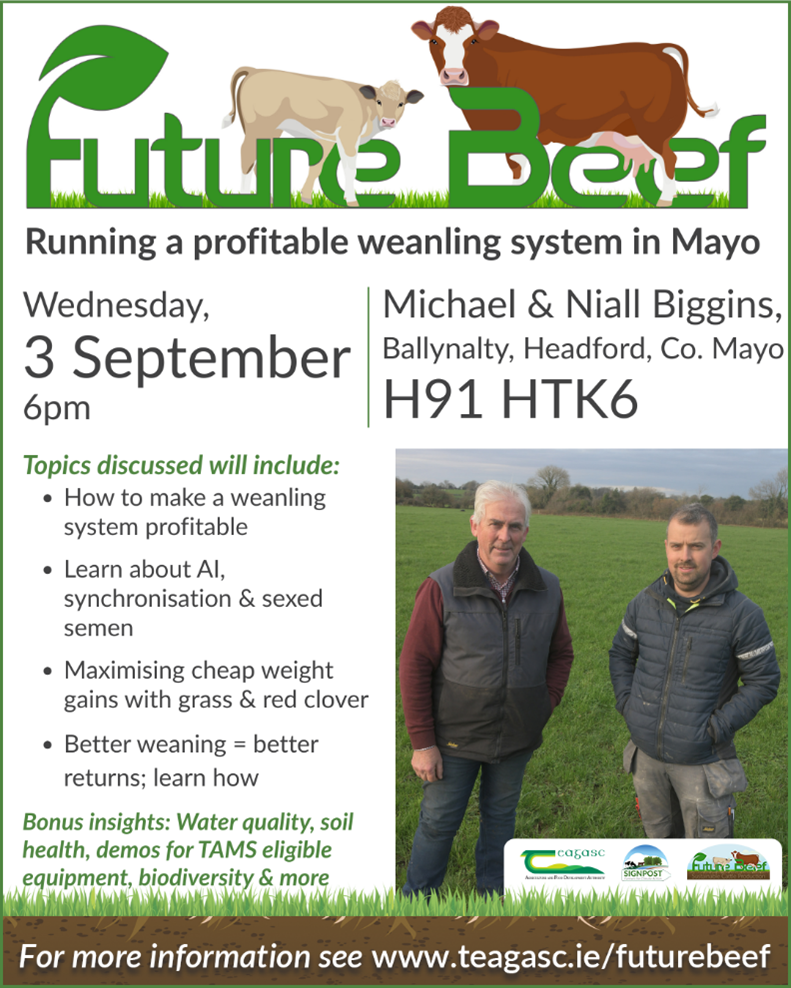  Weds 3rd Sept at 6pm: Future Beef farm walk on Michael & Niall Biggins’ farm, Ballynalty, Headford, Co. Mayo H91HTK6