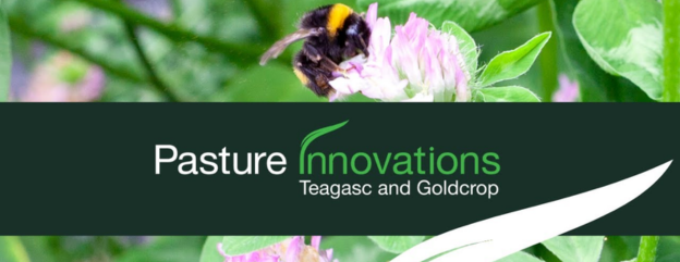 Cover image representing 