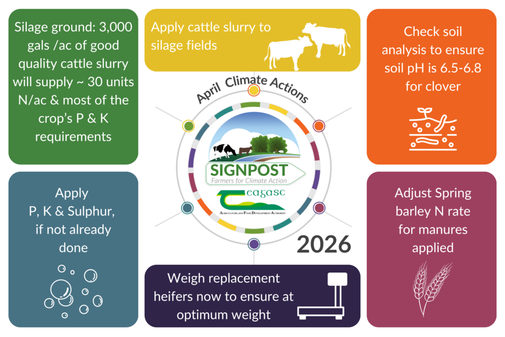 April 2026 climate action advice