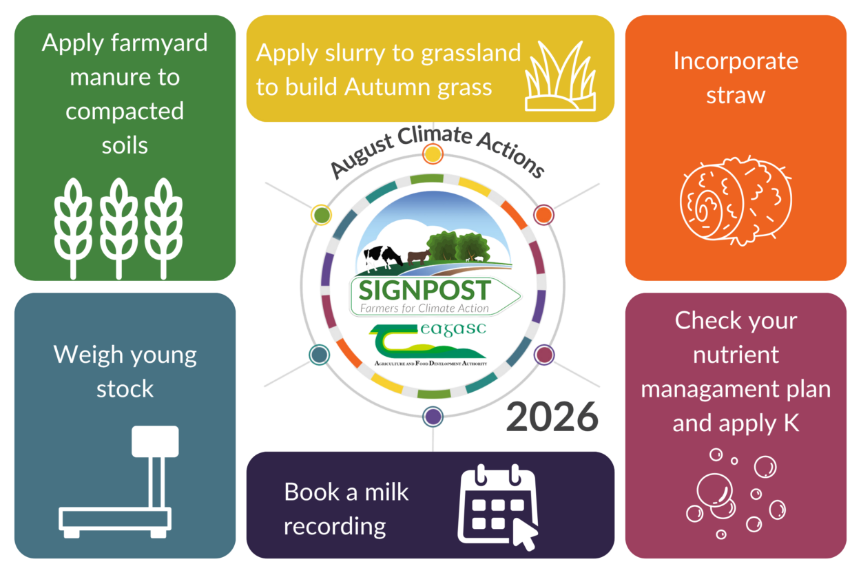 August climate action advice from the Signpost Programme