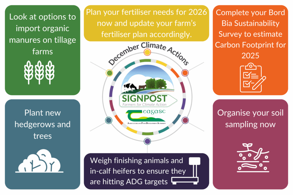 Signpost December Climate Actions