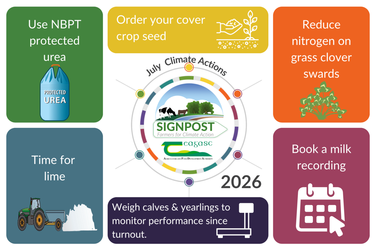 July climate actions 2026 Signpost Programme