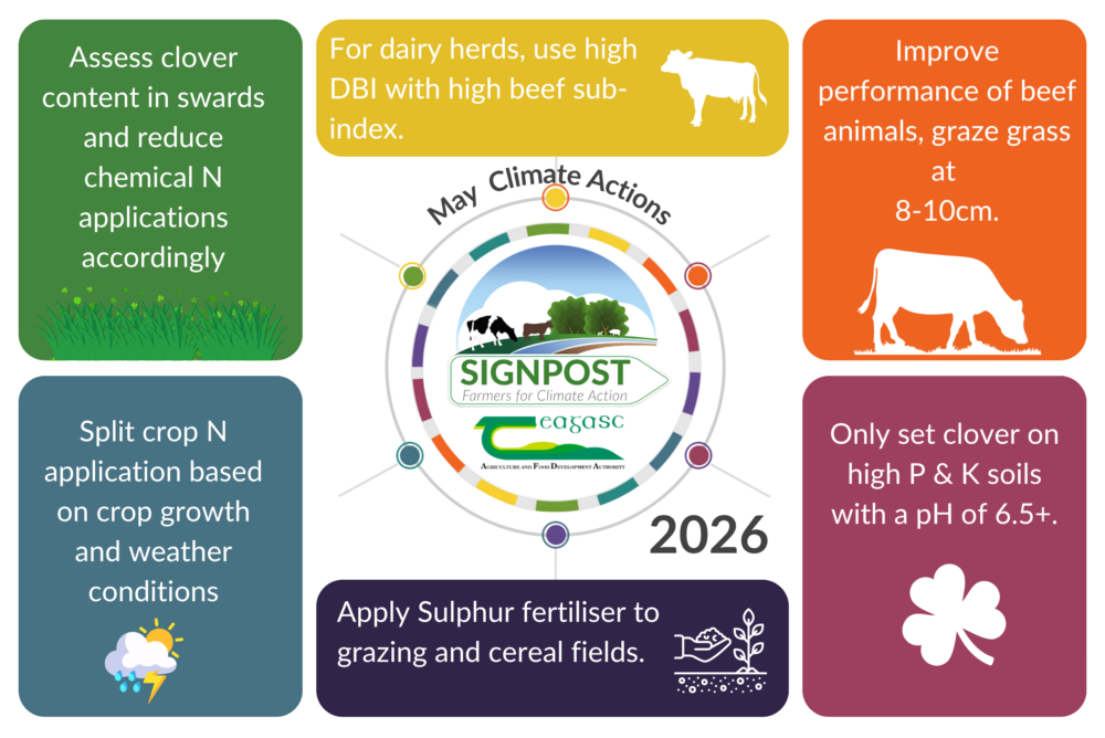 May climate actions Signpost Programme