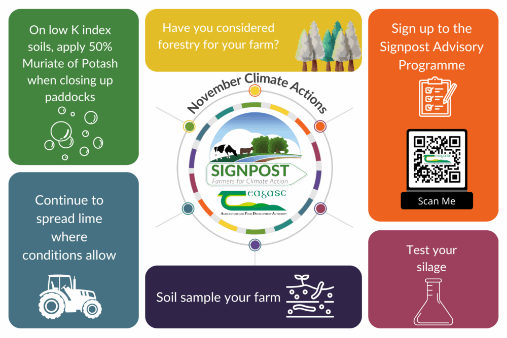 November climate actions to take on your farm