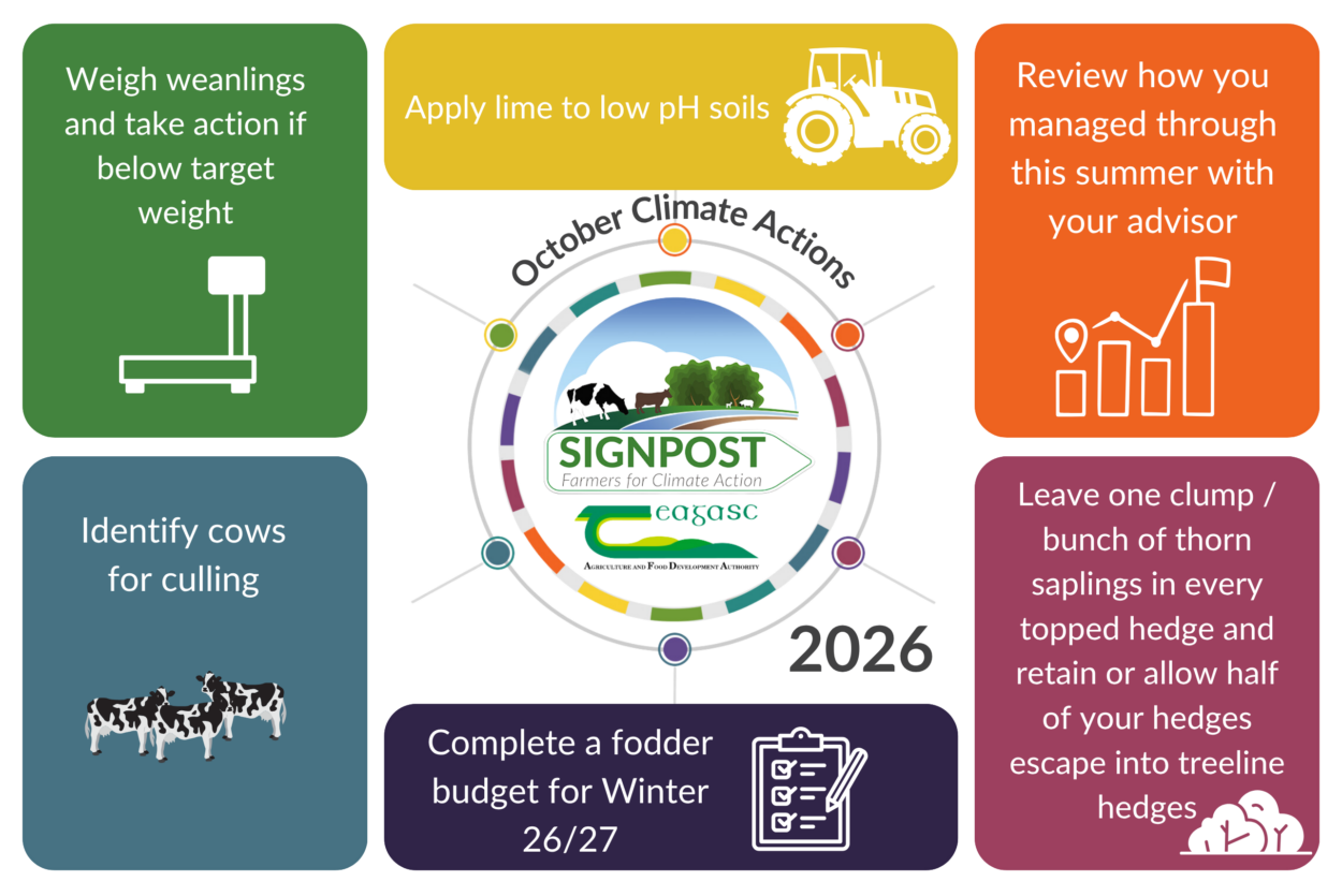 climate actions to take in october 2026
