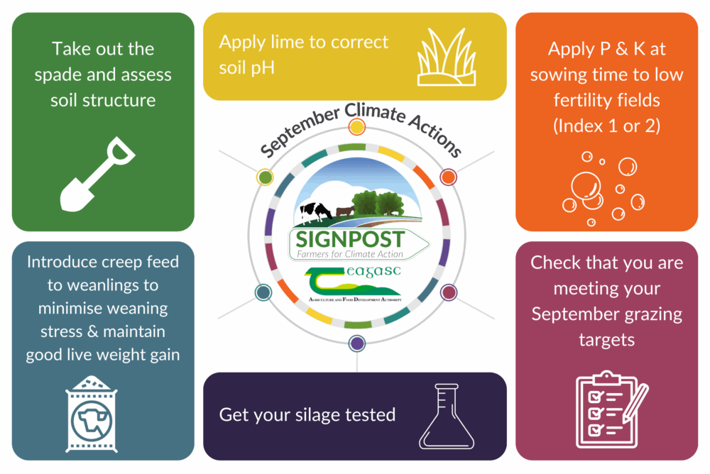September climate actions that include sow cover crops, apply N to build for Autumn grass, incorporate straw, check fodder stocks, apply lime and check your nutrient management plan and apply P & K.