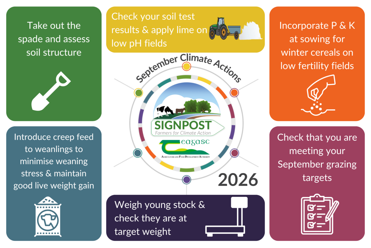 September Climate Actions 2026
