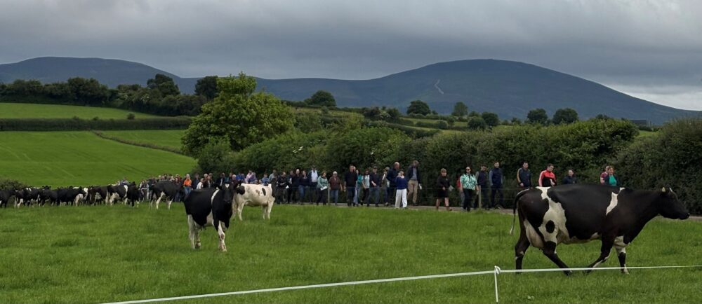 Cover image representing Events