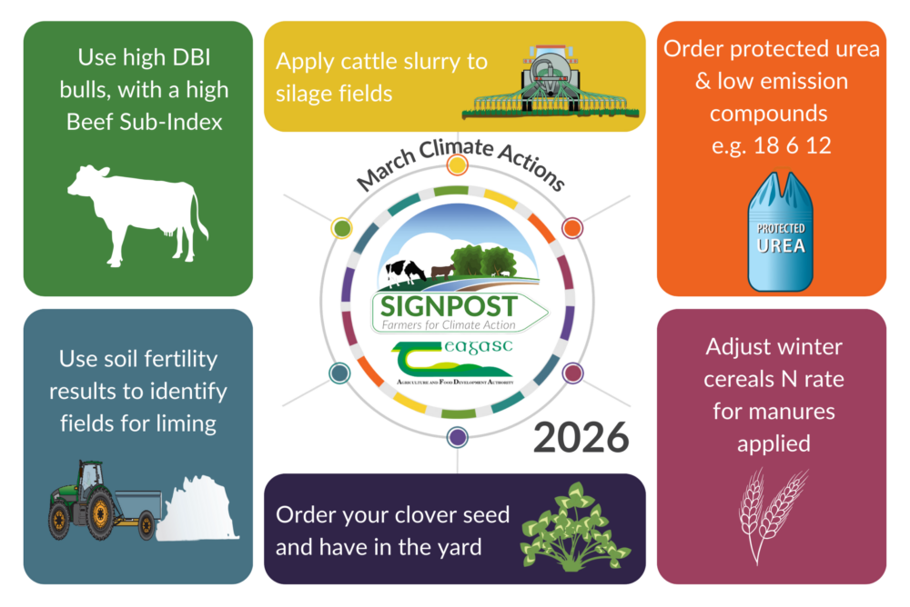 March climate actions 