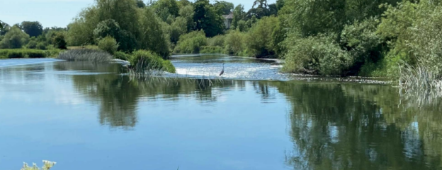 Cover image representing 