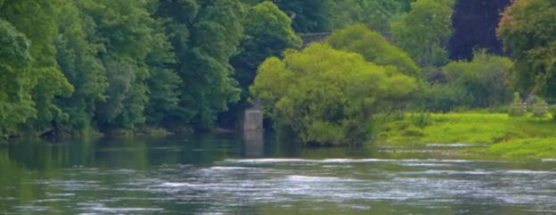 Cover image representing 