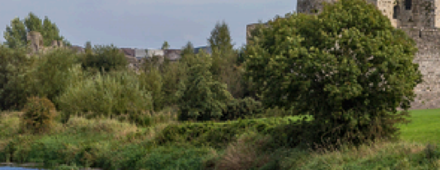 Cover image representing 