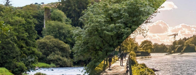 Cover image representing 