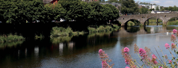 Cover image representing 