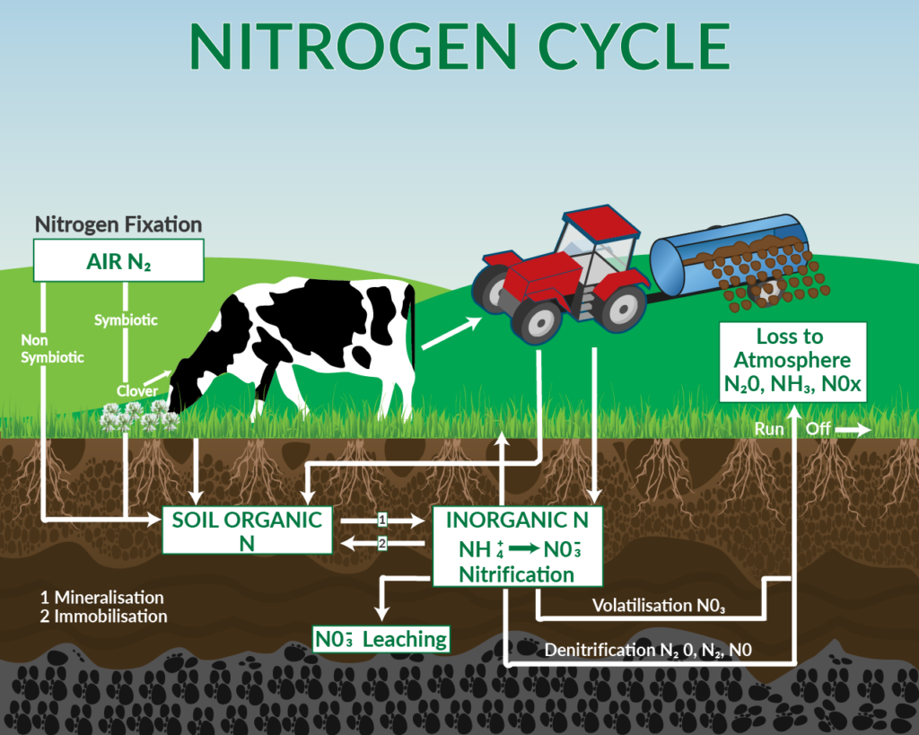 A diagram of the nitrogen cycle showing a cow, clover, and a tractor spreading manure, with arrows illustrating soil and air interactions.