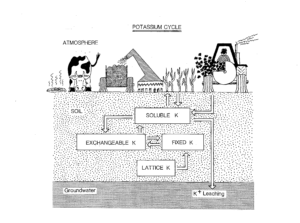 Diagram of the potassium cycle in soil, showing movement between soluble, exchangeable, fixed, potassium, with inputs and outputs from plants, animals, and agricultural activity.