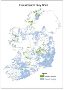 Map of Ireland titled “Groundwater Gley Soils.” Green areas indicate where groundwater gley soils are the dominant soil type, while light blue shading shows areas where they also occur. These poorly drained soils are widespread across lowland and poorly drained regions throughout the country. County boundaries are outlined in grey, with a legend distinguishing dominant and associated areas.