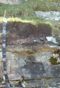 Photograph of a lithosol soil profile showing a shallow dark soil layer directly over exposed bedrock. Grass vegetation covers the surface, and fractured rock is visible throughout the profile. A measuring scale marked in centimetres stands vertically along the left side of the pit.