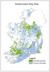 Map of Ireland titled “Surface-water Gley Soils.” Green highlighted areas show where surface-water gley soils are dominant, while light blue shading indicates areas where they also occur. These poorly drained soils are widespread across western, southern, and central parts of Ireland. County boundaries are outlined in grey, with a legend distinguishing dominant and associated areas.