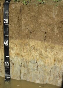 Photograph of an alluvial soil profile exposed in a soil pit. The profile shows a dark brown topsoil layer over lighter grey and beige sediment layers formed by river deposition. A measuring scale marked in centimetres is positioned vertically along the left side, with shallow water visible at the base of the pit.