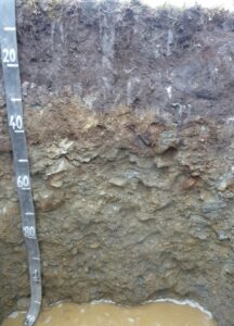 Photograph of a groundwater gley soil profile showing dark topsoil over grey and mottled subsoil layers affected by prolonged water saturation. Stones and wet compacted material are visible throughout the lower profile, with standing water at the base of the pit. A measuring scale marked in centimetres is positioned vertically along the left side.