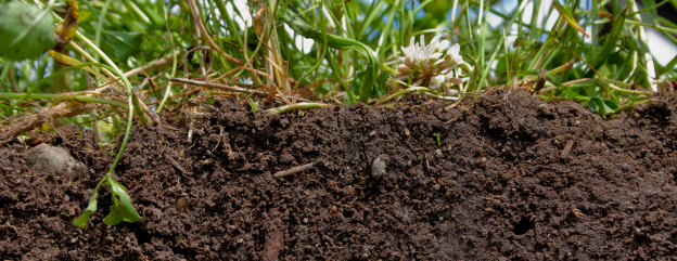 Cover image representing 