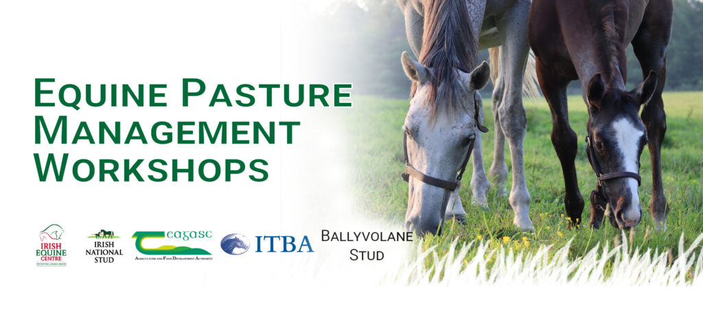 banner image with partner logos for the Equine Pasture Management Workshops