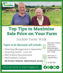 Farm Walk on the farm of Michael & Peter Glennon on 1st September 2025 at 6.30pm, Ballydangan, Co.Roscommon, N37 AY88