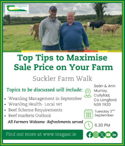 Suckler Farm Walk on the farm of Sean & Ann Murray on 2nd September 2025 at 6.30pm, Cullyfad, Co Longford, N39 TR20