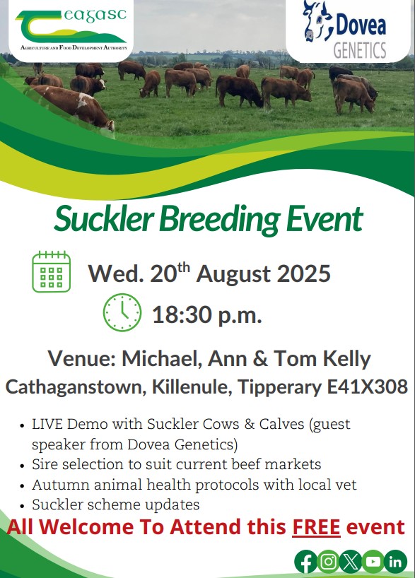 Suckler Breeding Event all information in text above