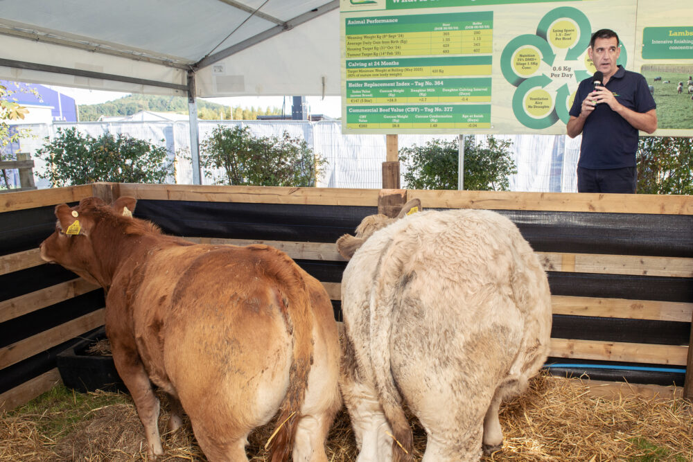 Pearse Kelly, Teagasc Head of Drystock at the National Ploughing Championships in Ratheniska, Co Laois. 